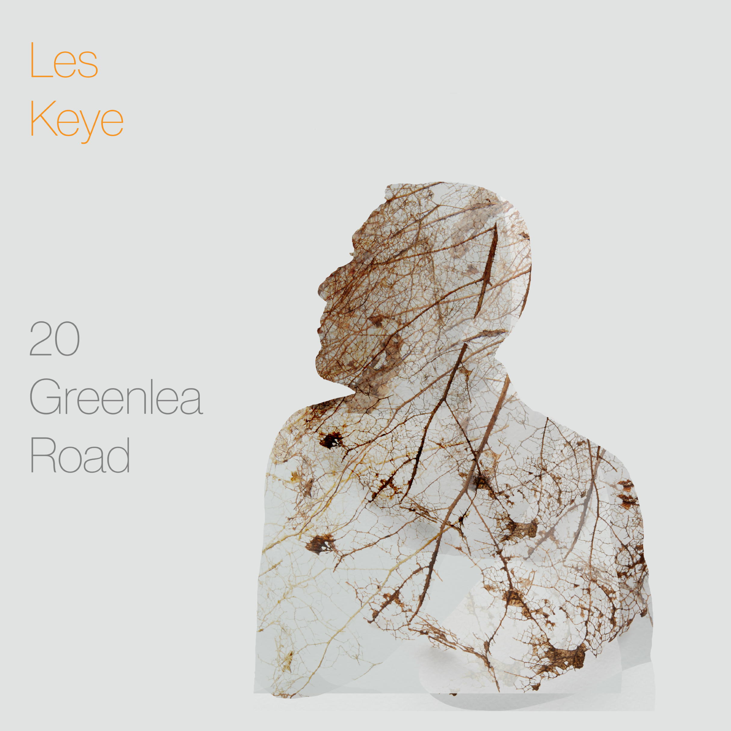 20 Greenlea Road - Album Cover.png (3.32 MB)