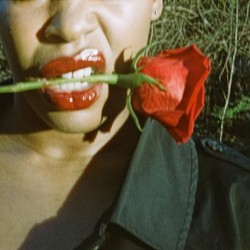 Mimi's Revenge-USA - Dire