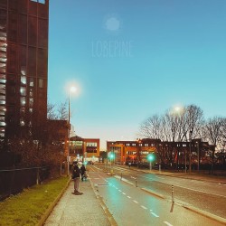 LOBEPINE-IRL - Serious People Rule the World